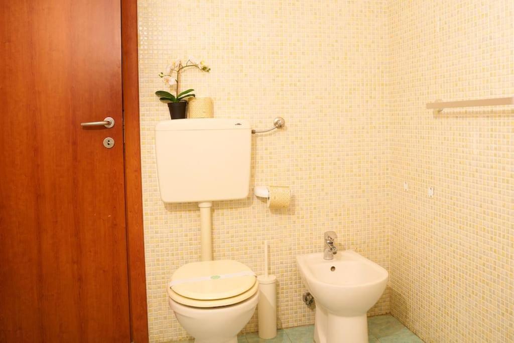 Trastazione & Policlinico 500mt Dal Centro Apartment